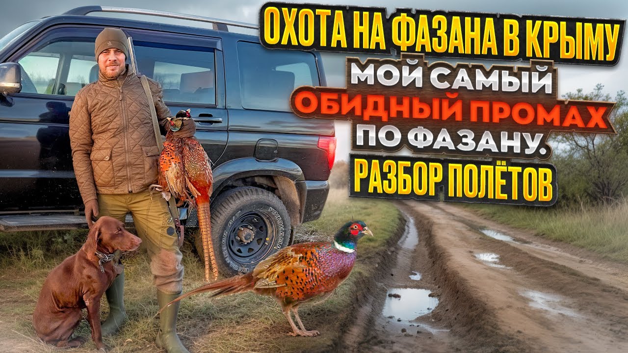 Мой самый обидный промах по Фазану. Охота в Крыму. Как оно есть на самом деле.