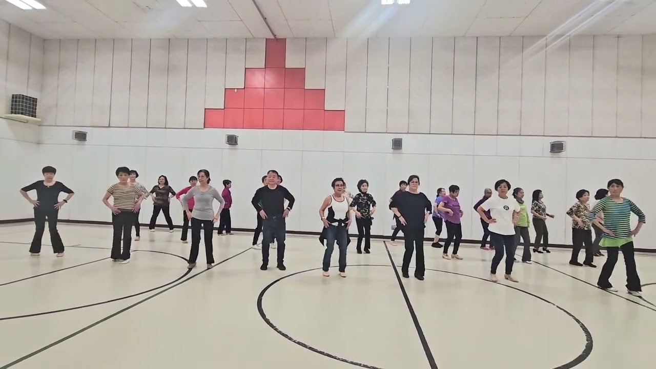 Cha cha mi Amor line dance (Practice 2)