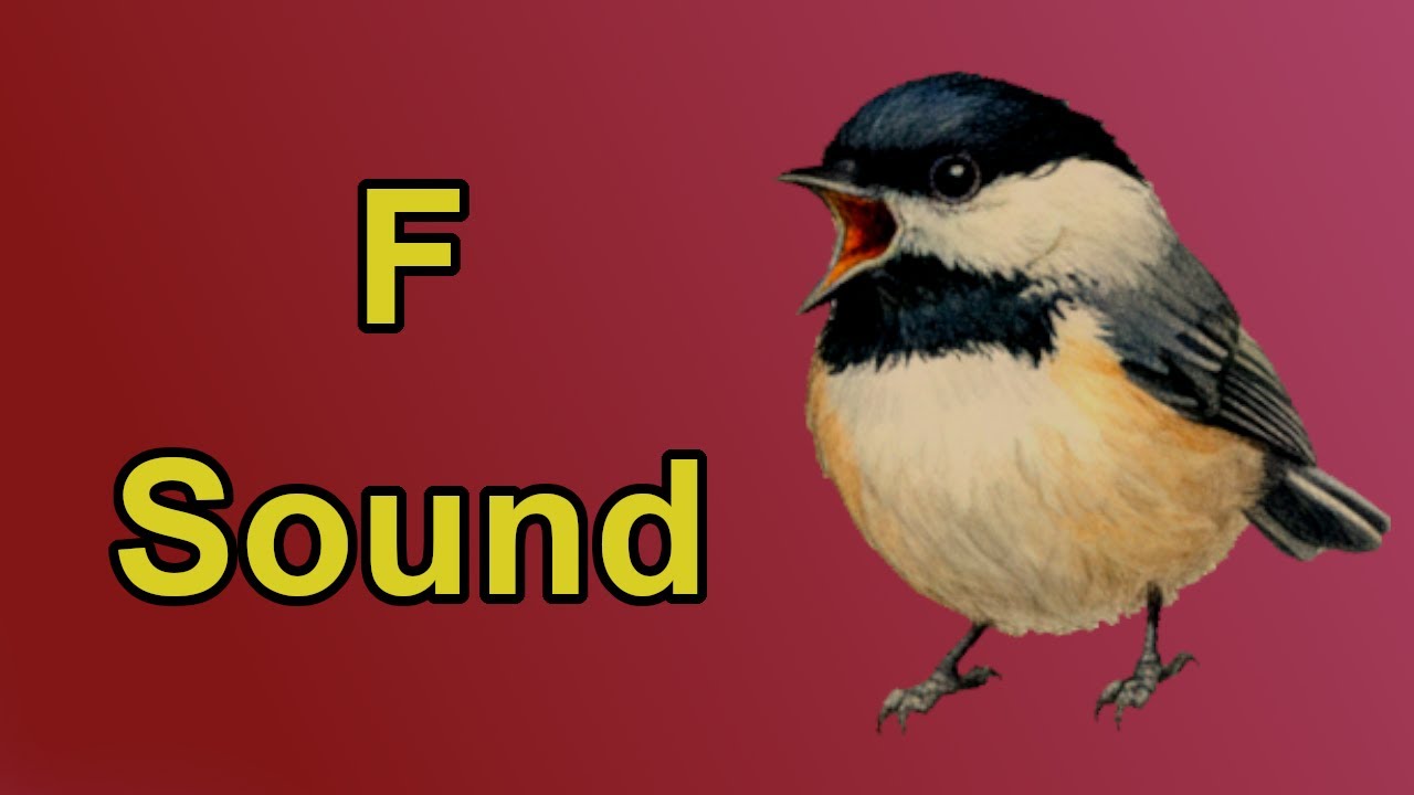 The F Sound Sonnet | Phonemic Awareness Poetry