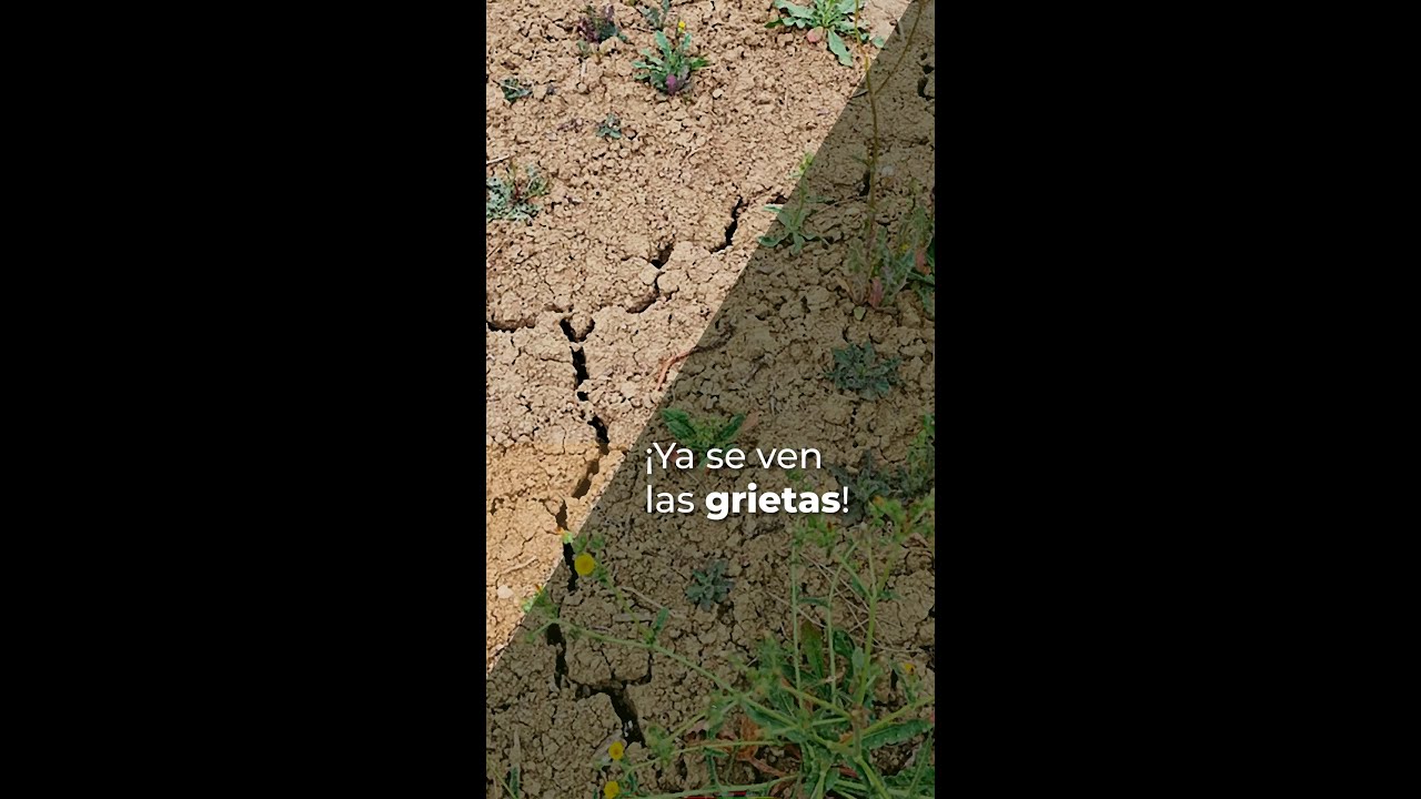 ¡YA SE VEN LAS GRIETAS!