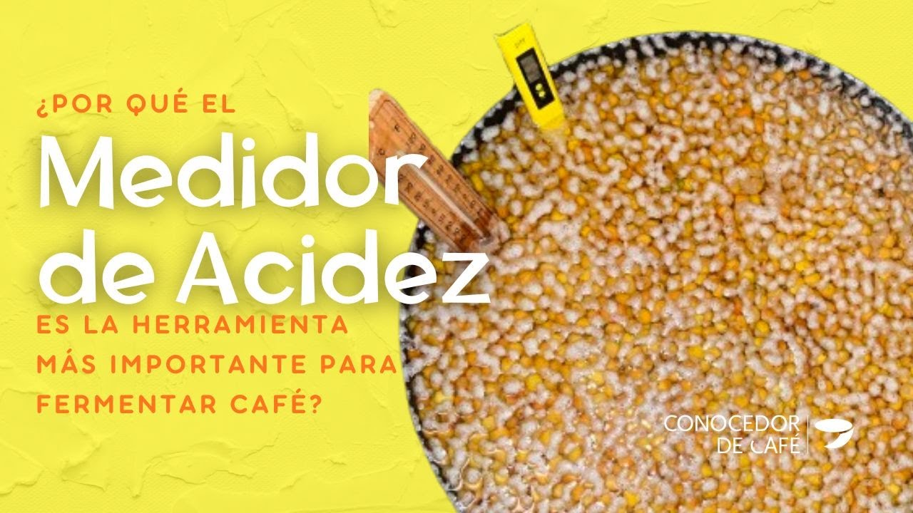 ¿Por qué es un ERROR creer que el pH (o nivel de ACIDEZ) es un objetivo en fermentación de café?