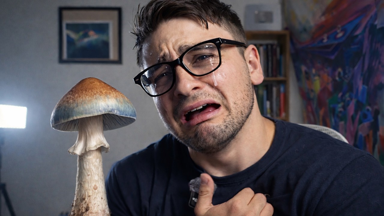 The Psychedelic Man B*tch Effect (No One Talks About This)