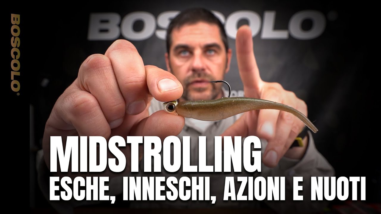 Tutto sul MID STROLLING: Esche, inneschi, azioni e nuoti - Z-MAN, DAMIKI, RAID, DUO, BERKLEY, YUM