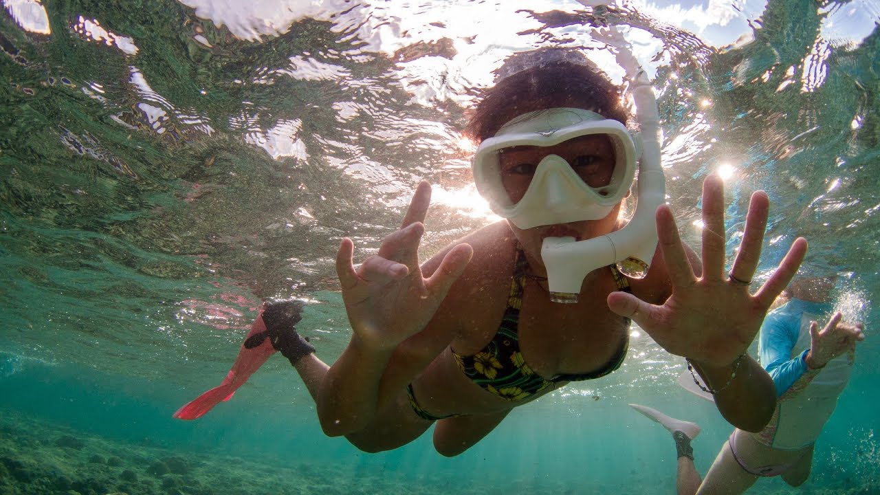 Breathtaking underwater video | tropical island in Japan