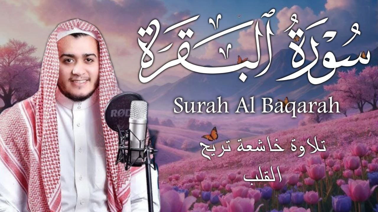 سورة البقرة كاملة || لطرد الشياطين وتحصين المنزل ||  القارئ علاء عقل ||  Surat Al Baqarah