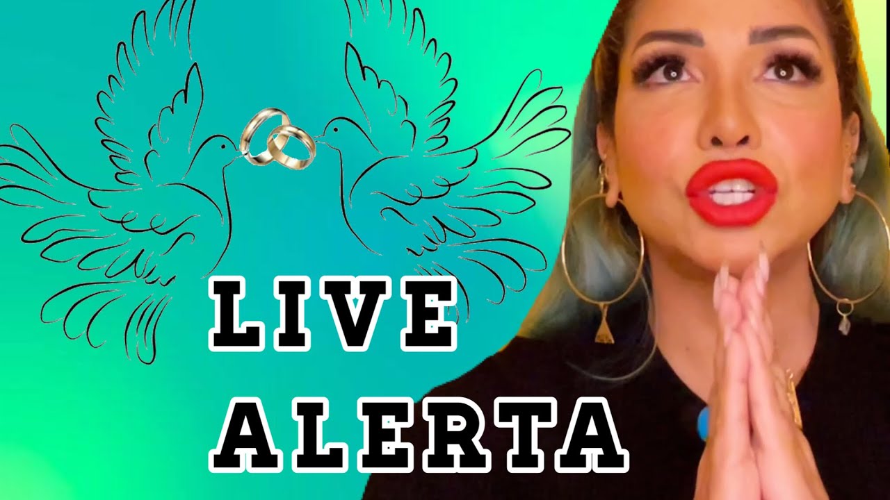 {LIVE}.  COMO SÃO OS CASAMENTOS NO EGITO HOJE