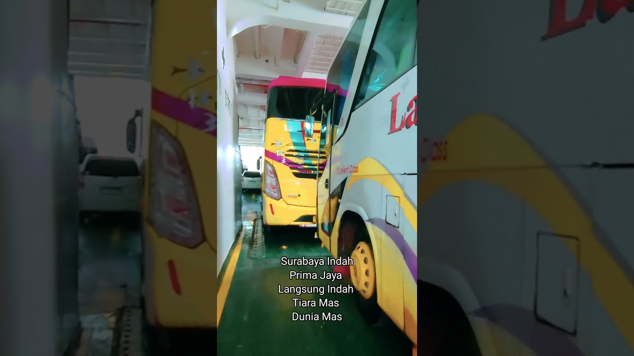 Trip Lombok-Bima Naik Bus New Surabaya Indah SPS #busbimamataram #busmania #sps  #kreatorpemula