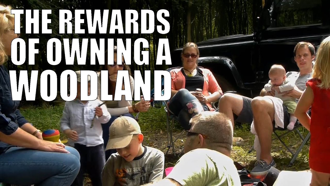 The Rewards of Owning a Woodland