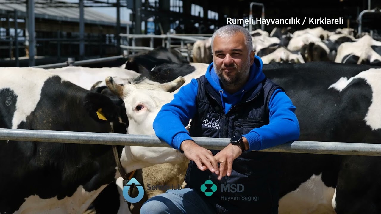 Hayvancılıkta Başarı Hikayeleri #2   Rumeli Hayvancılık Çiftliği