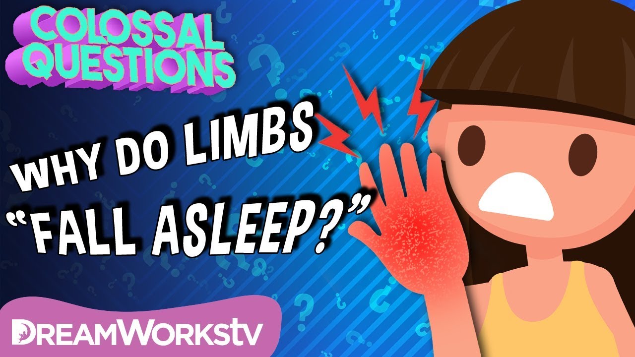 Why Do Body Parts &ldquo;Fall Asleep&rdquo;? | COLOSSAL QUESTIONS