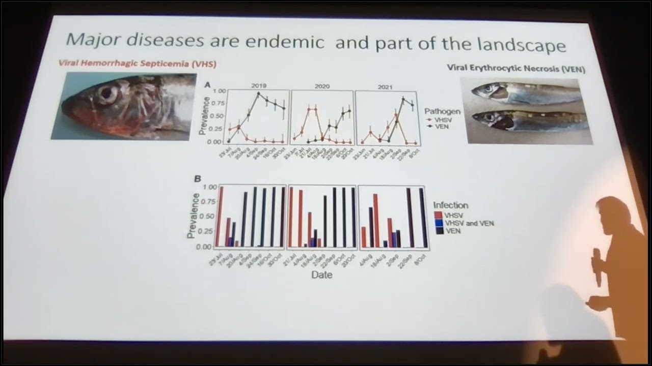 Pacific Herring Disease Ecology