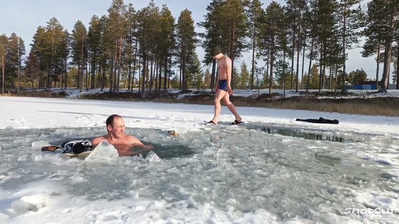 Моржи Муравленко.