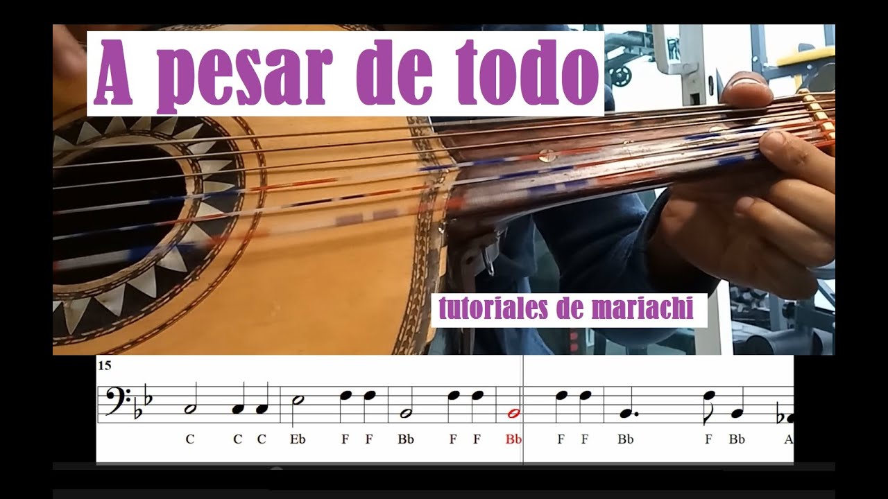 A pesar de todo - Guitarron