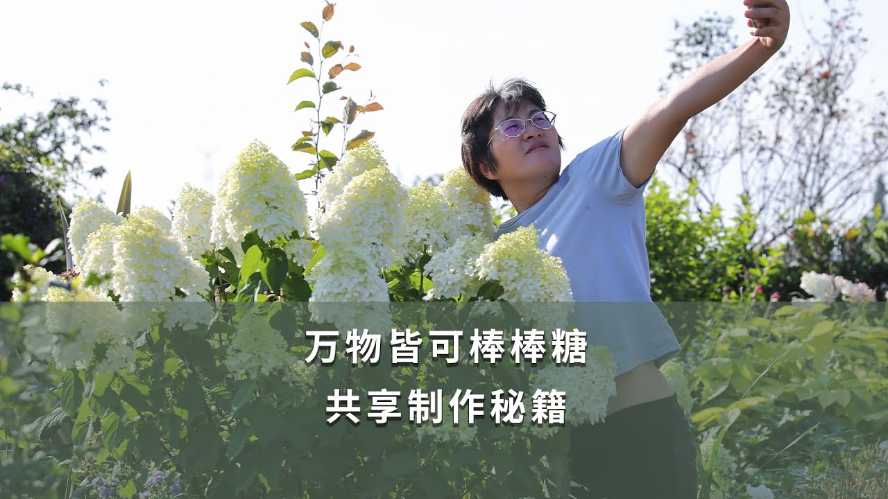 万物皆可棒棒糖，共享制作秘籍