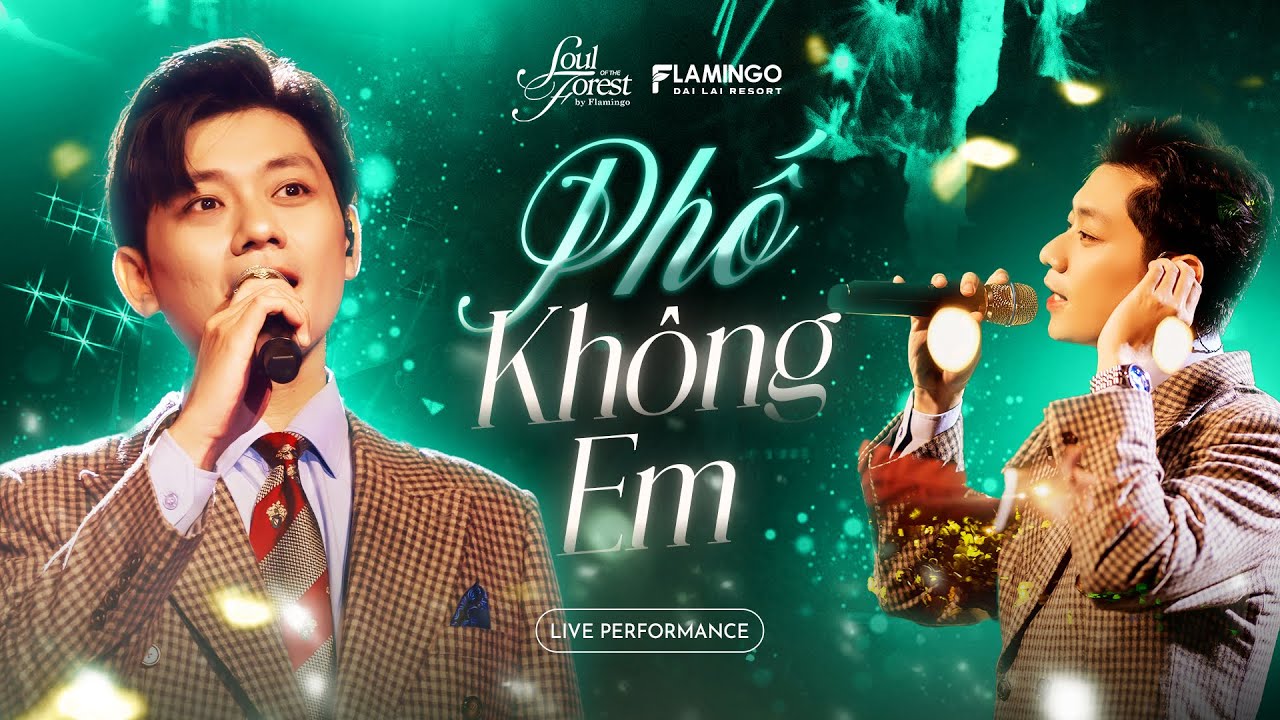 PHỐ KHÔNG EM - Thái Đinh Live Buồn Tê Tái Ai Nghe Cũng Thổn Thức | Live at Soul of The Forest