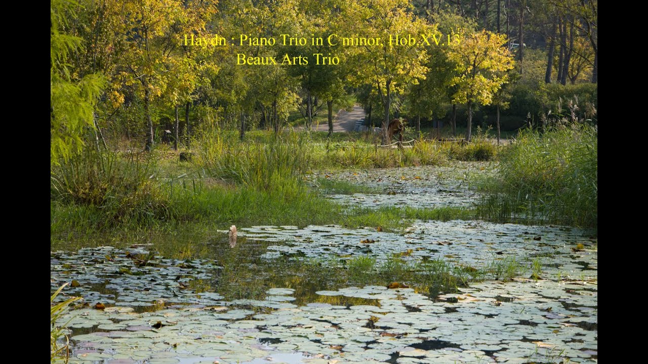 Haydn : Piano Trio in C minor, Hob.XV.13