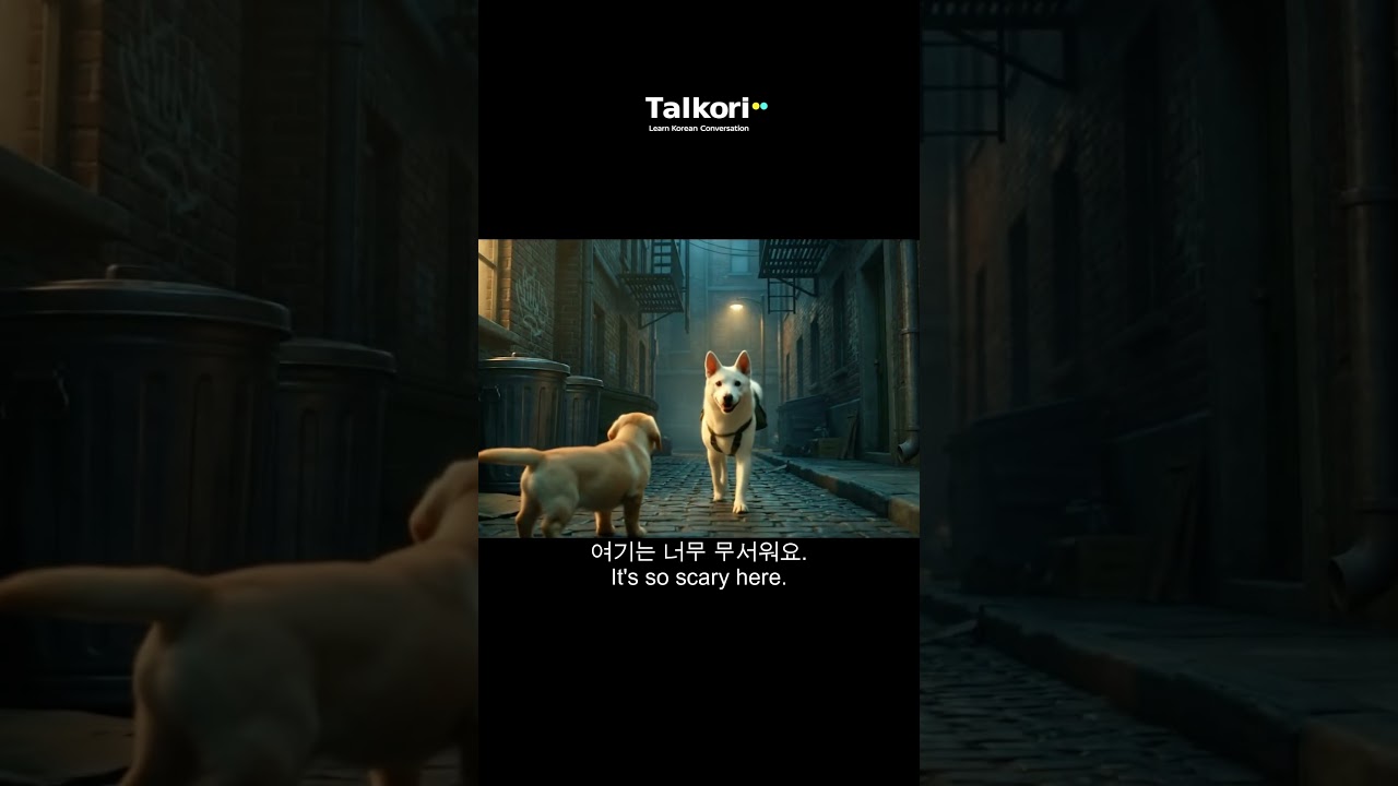 Are you lost?