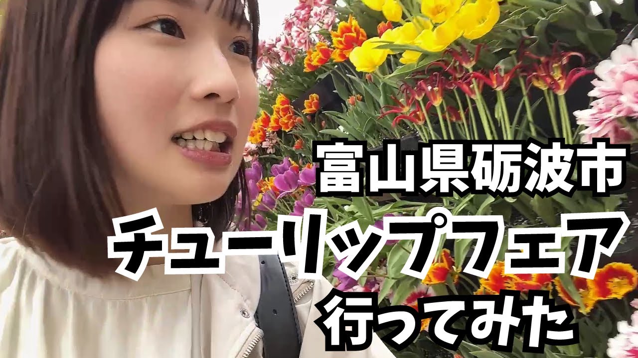 【富山県砺波市】となみチューリップフェア行ってみた🌷