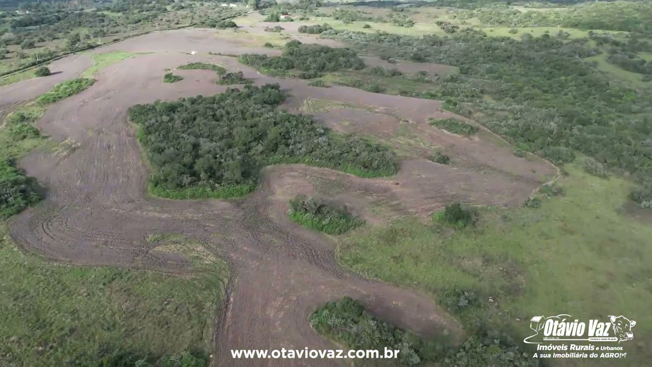 🌾 Excelente Oportunidade! Propriedade com 46 hectares em Pinheiro Machado/RS! 🚜