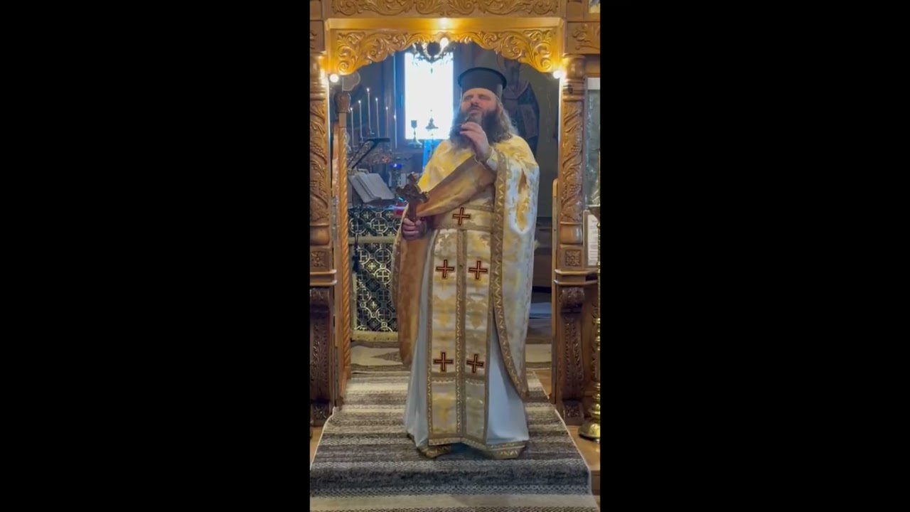 Să fim cu toții brancardieri ai milostivirii și cărăuși ai dragostei