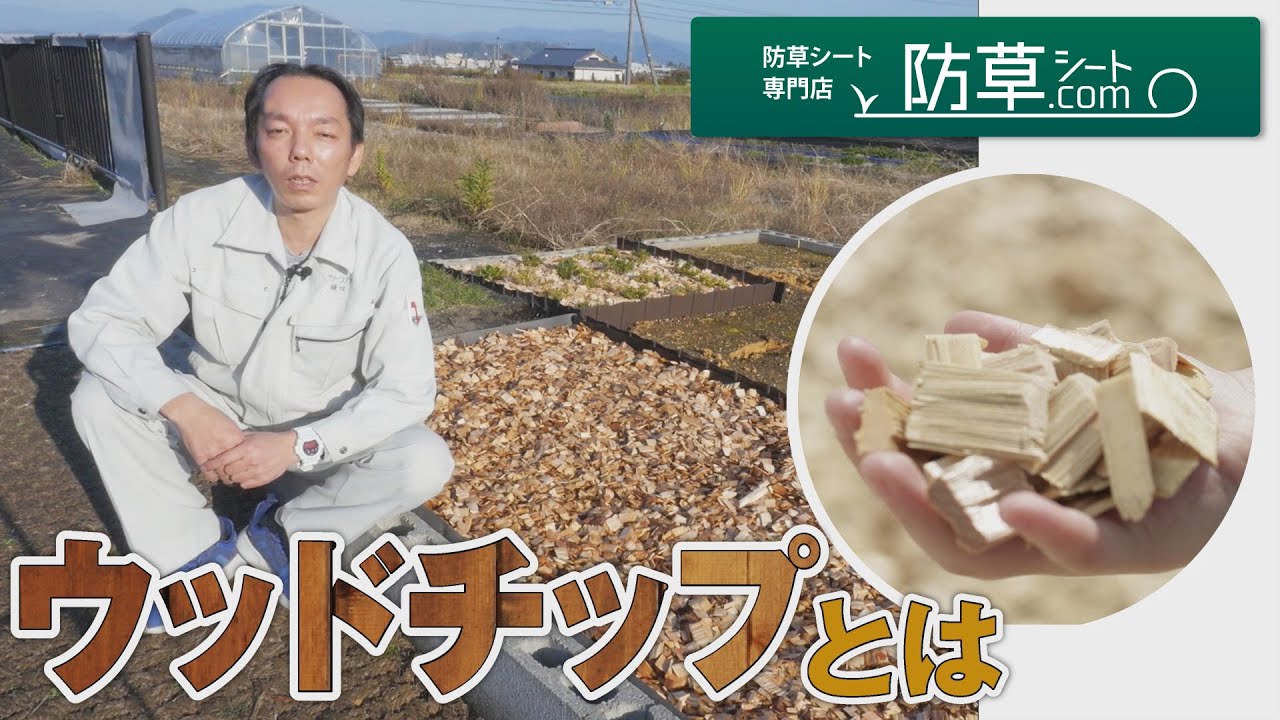 【ウッドチップとは】製法・原材料を比較し用途に応じたウッドチップを選ぼう