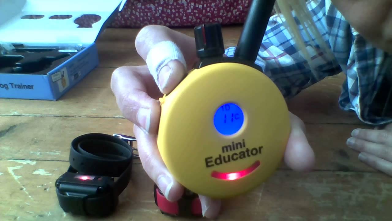 How to use Mini Educator 2 dog sytem