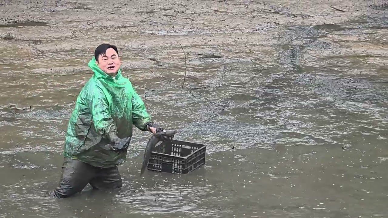 Tát Ao Ngày Thứ Ba ..Báo Cá