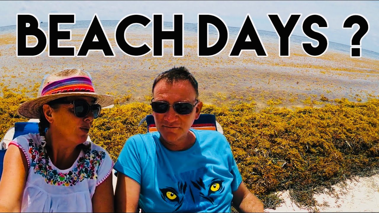 Conditions In May | Sargassum | Puerto Morelos Rivera Maya