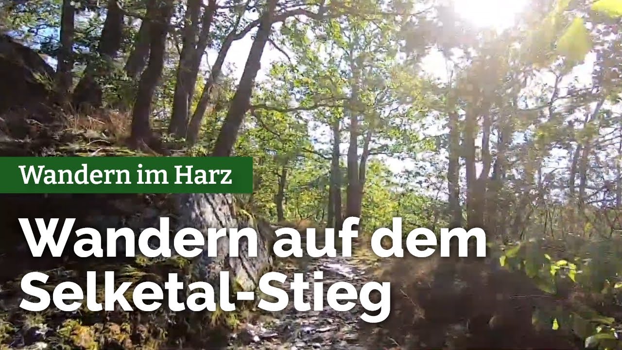 Wandern im Harz - Auf dem Selketal-Stieg Harzgerode - M&auml;gdesprung - Alexisbad (Rundtour)