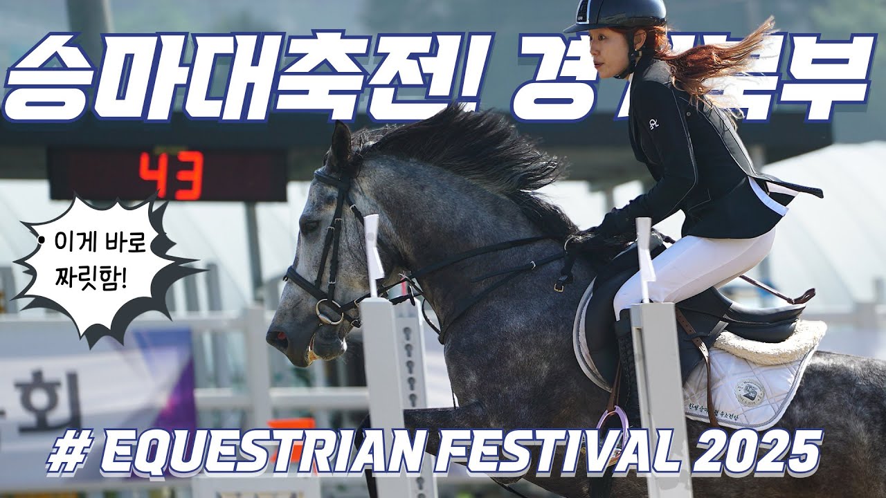 2025 제1회 양주시승마협회장배 승마대축전  장애물80cm 국산마 고대일반부