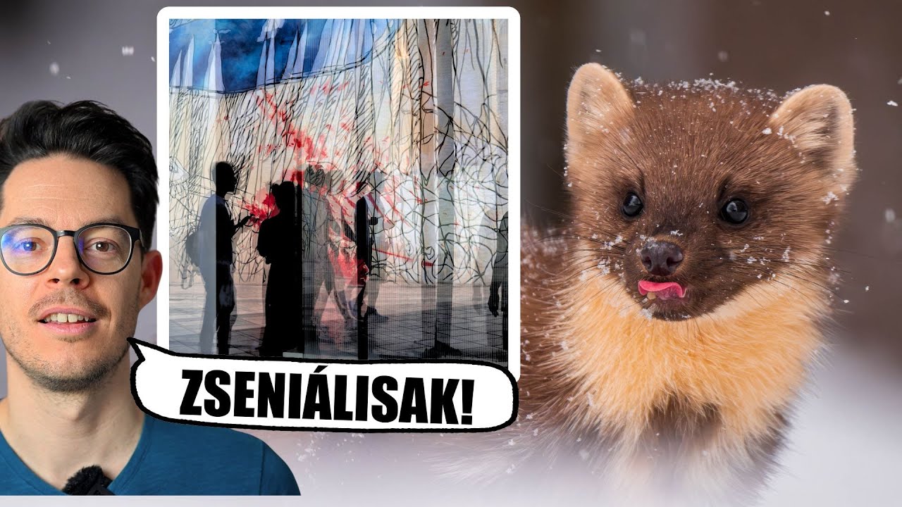 Képértékelés 36 - ti küldtétek ezeket a szuper fotókat