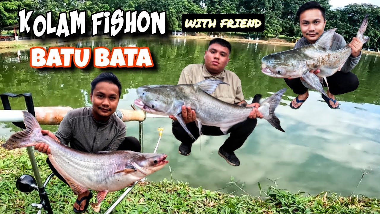 Teknik Memancing Chaophraya | Kolam FishOn Shah Alam