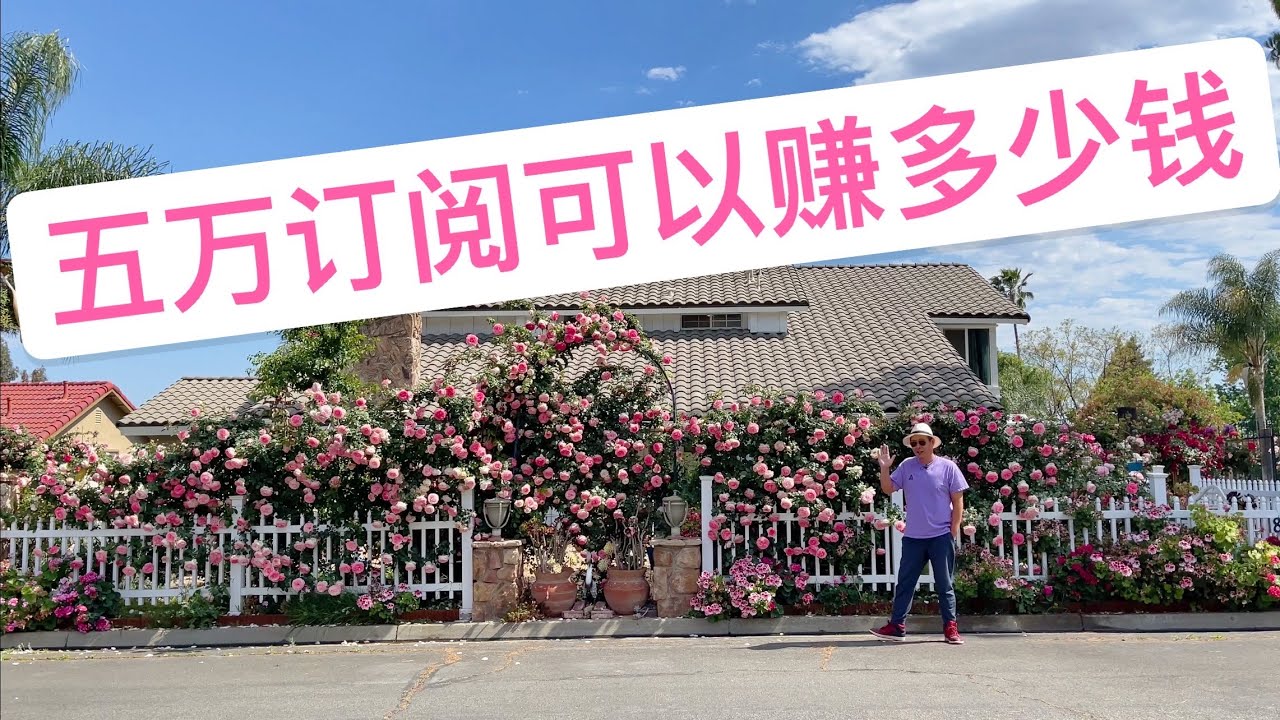 5万订阅YouTube频道可以赚多少钱？