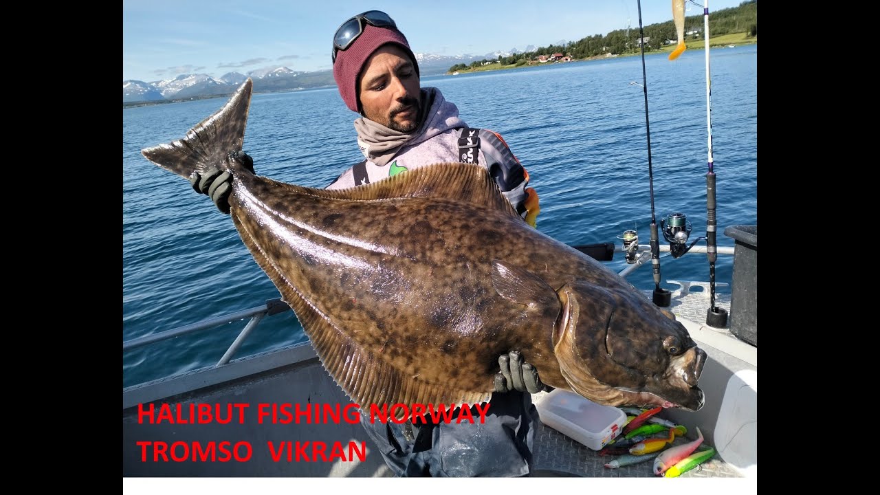 HALIBUT FISHING TROMSO