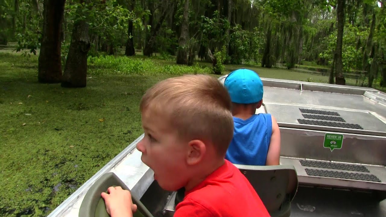 Louisiana Swamp Tour, Searching for Alligators!