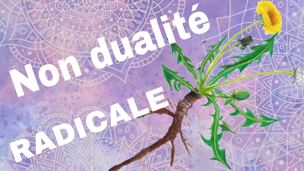 D&eacute;cryptage #12 - Non dualit&eacute; radicale