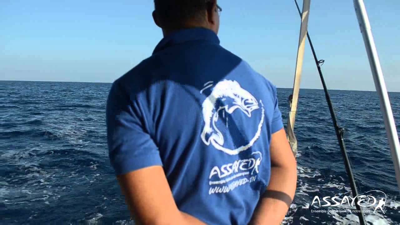 Sortie ASSAYED à ZEMBRA