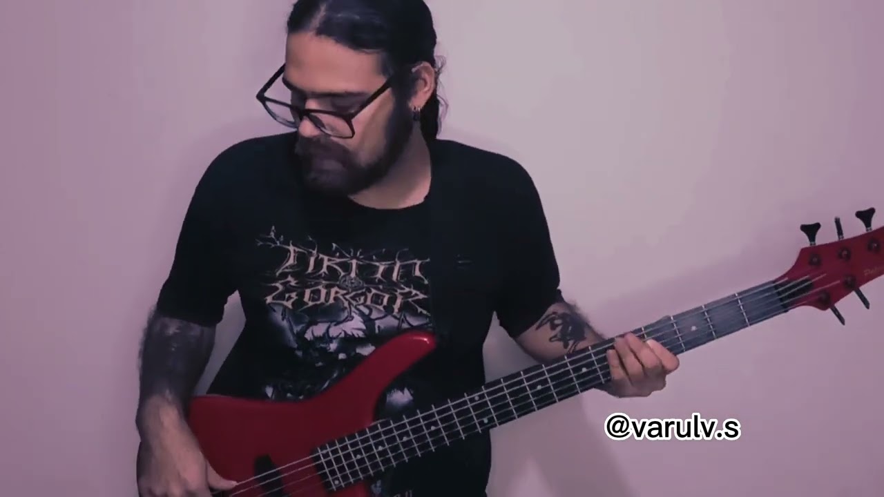 Les Jardins de Minuit - BASS cover (Alcest)