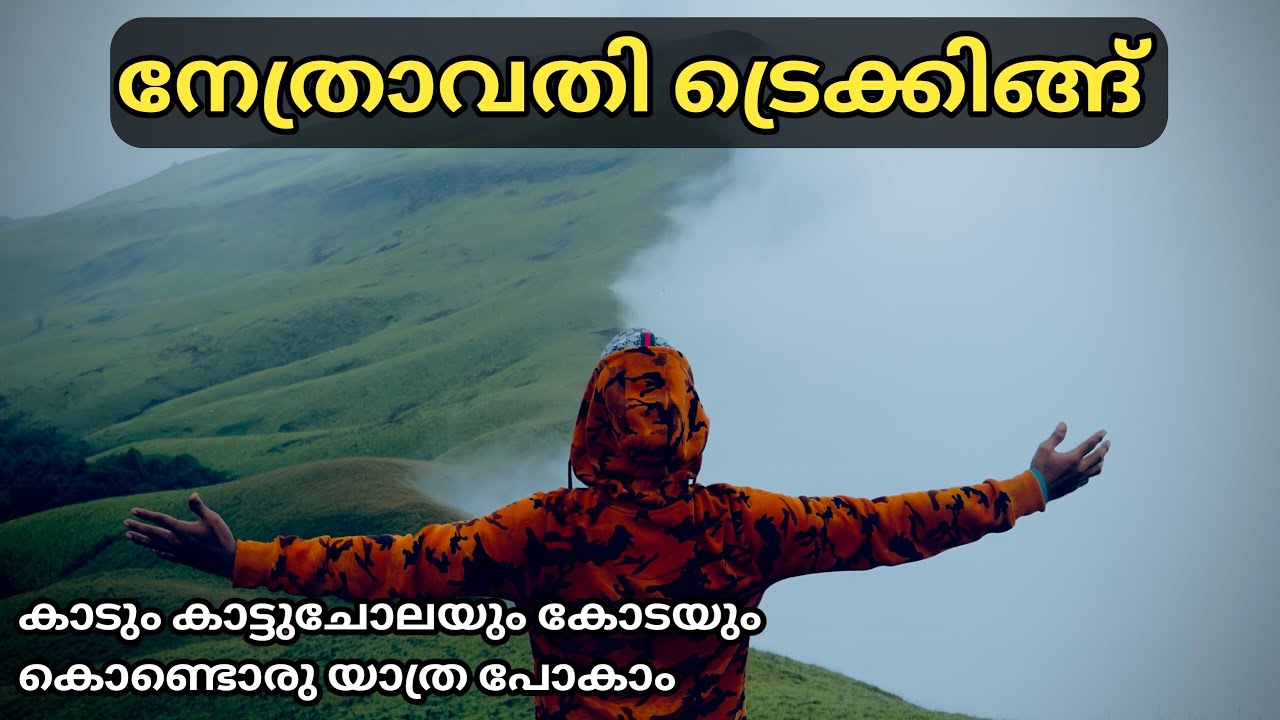 മനം നിറയ്ക്കും നേത്രാവതി ട്രെക്കിങ്ങ് | Best Monsoon Trek in Chikkamagaluru | Netravati Peak Trek