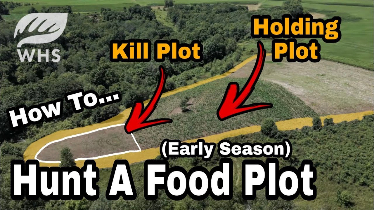Early Season Kill Plot Setup