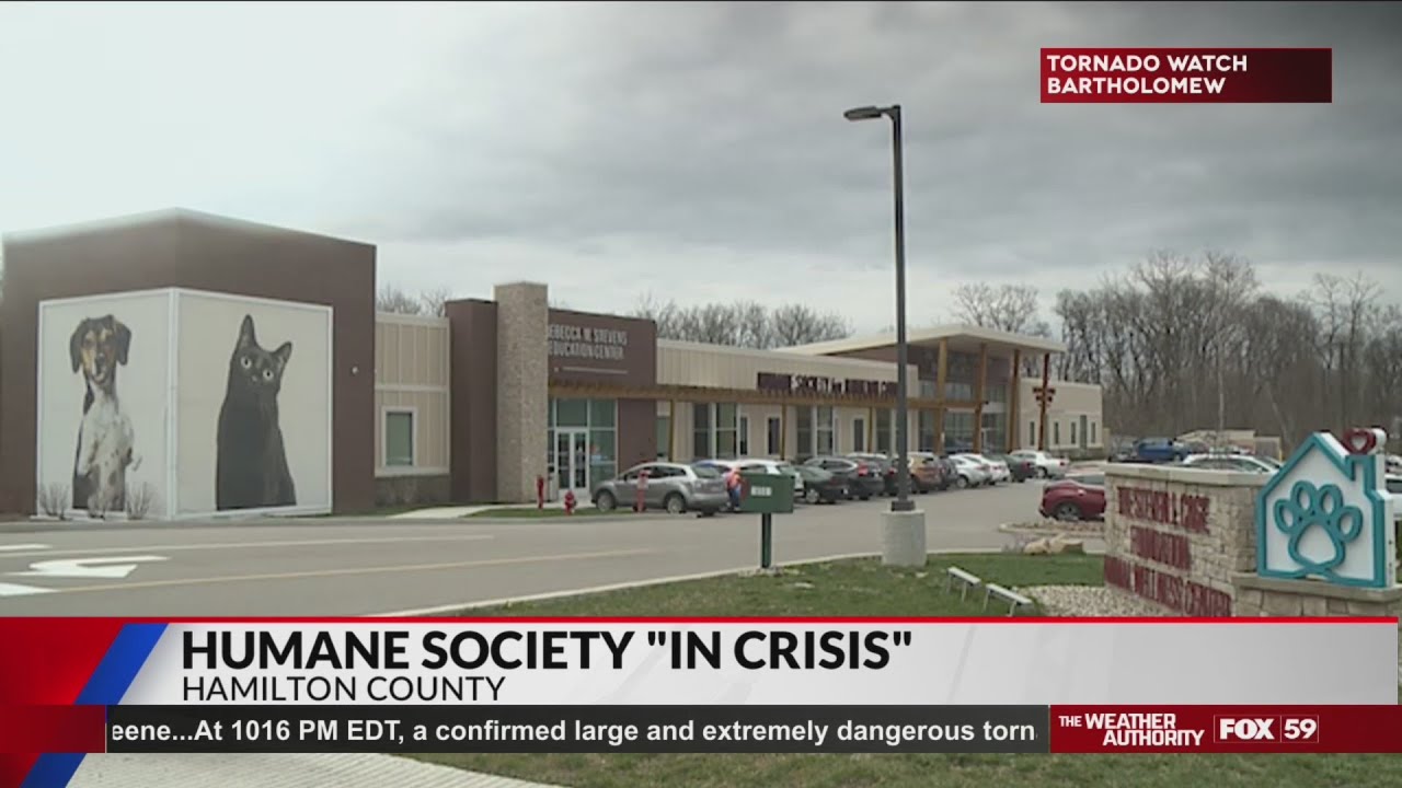Hamilton County Humane Society 'in crisis'