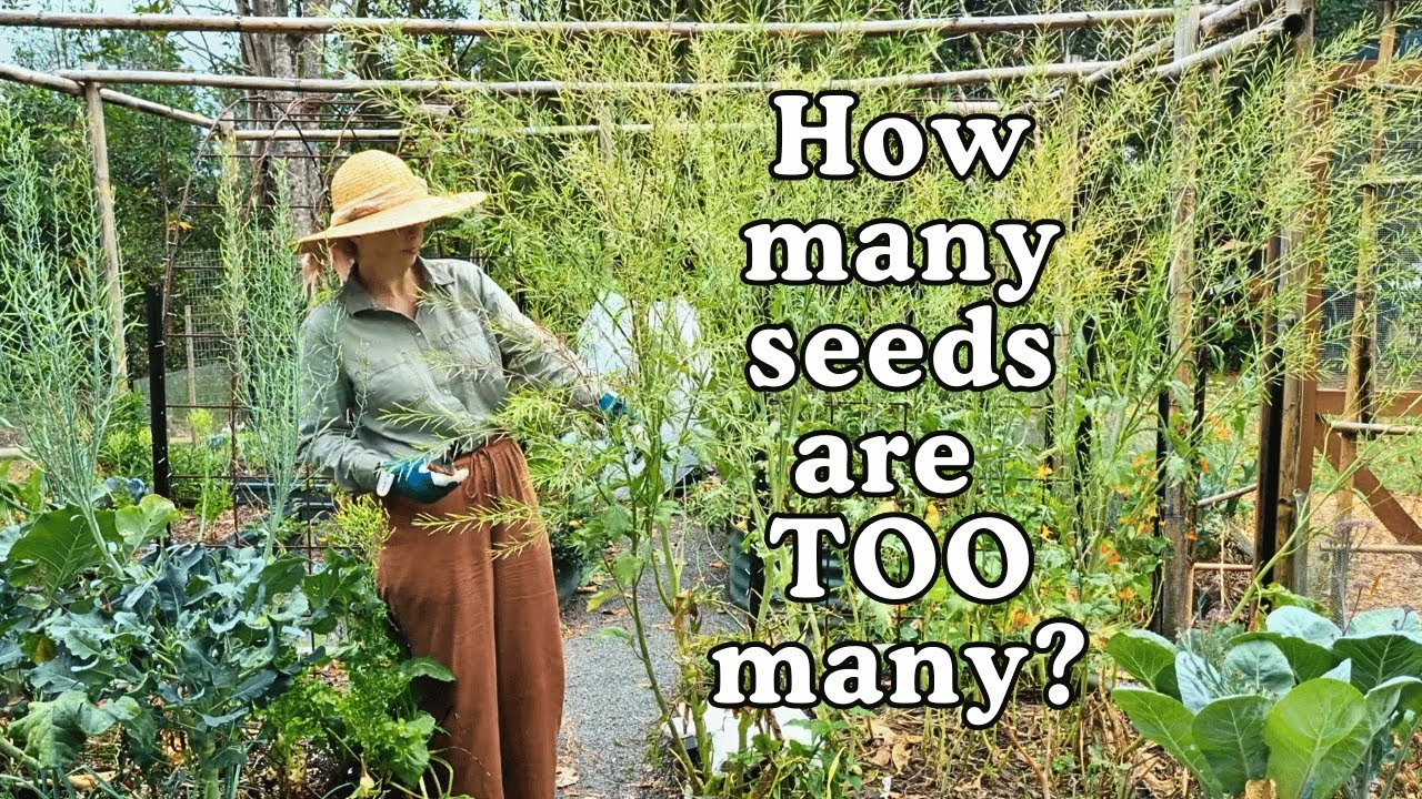 A Forest of Mustard Greens, Home-Made Compost & Mulch, & The BEST Cucumbers🌿Subtropical Garden Diary