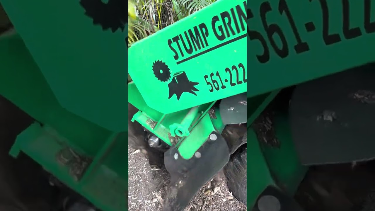 Sc252 Kohler 35hp full set of teeth and I wrapped up the fence at the end #sc252 #vermeer #stumping