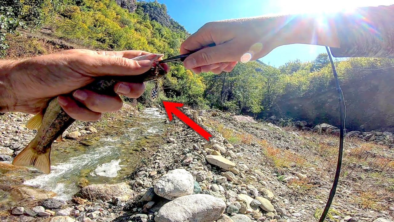 Kırmızı Benekli Alabalık Avı | Turkey/Artvin