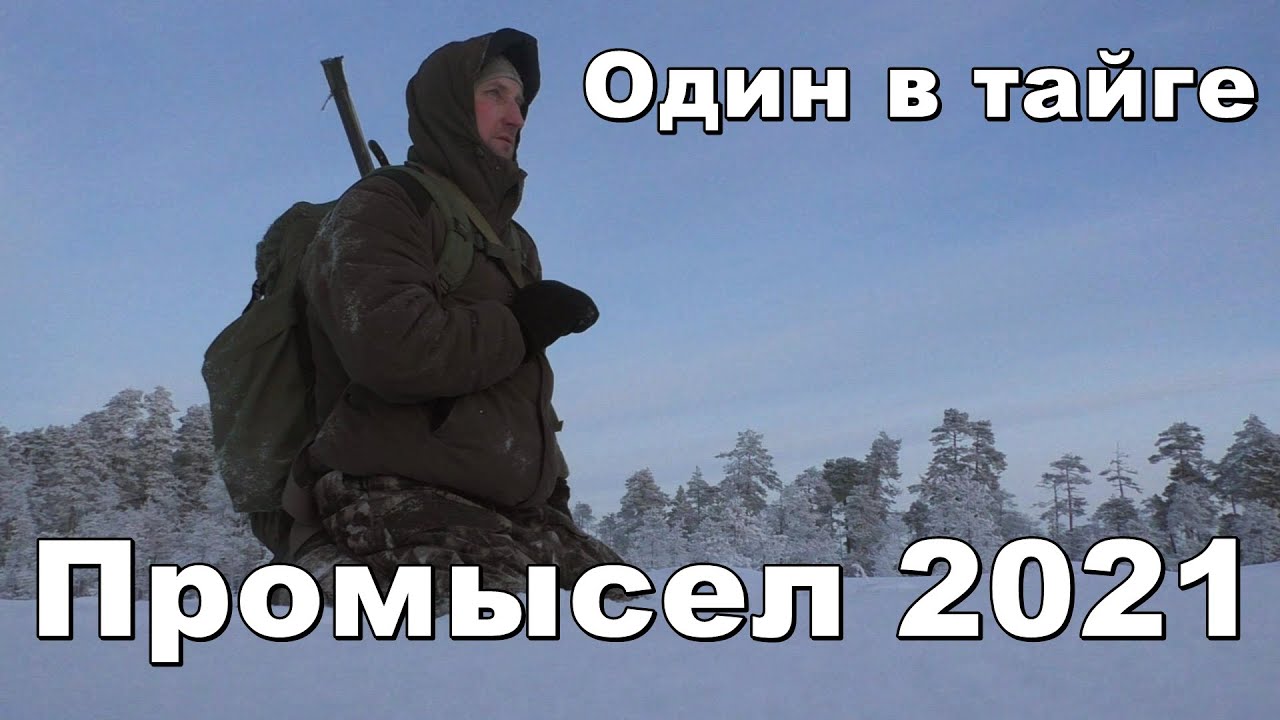Промысел 2021,один в тайге,зимовье,быт,вдали от цивилизации #3