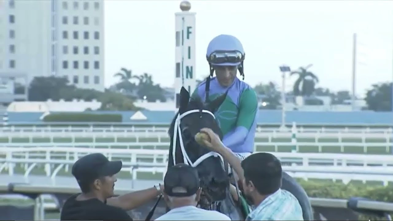 R11 GULFSTREAM PARK USA 25 JAN 2026