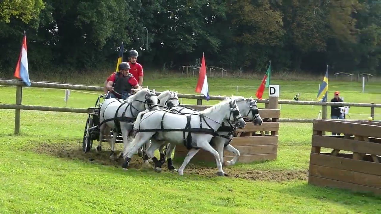 122 VAN DEN BOSCH Bert, BEL, CH M P A4,A2,A1, Le Pin au Haras FRA, Marathon Pony Four in Hand, Ob 8,