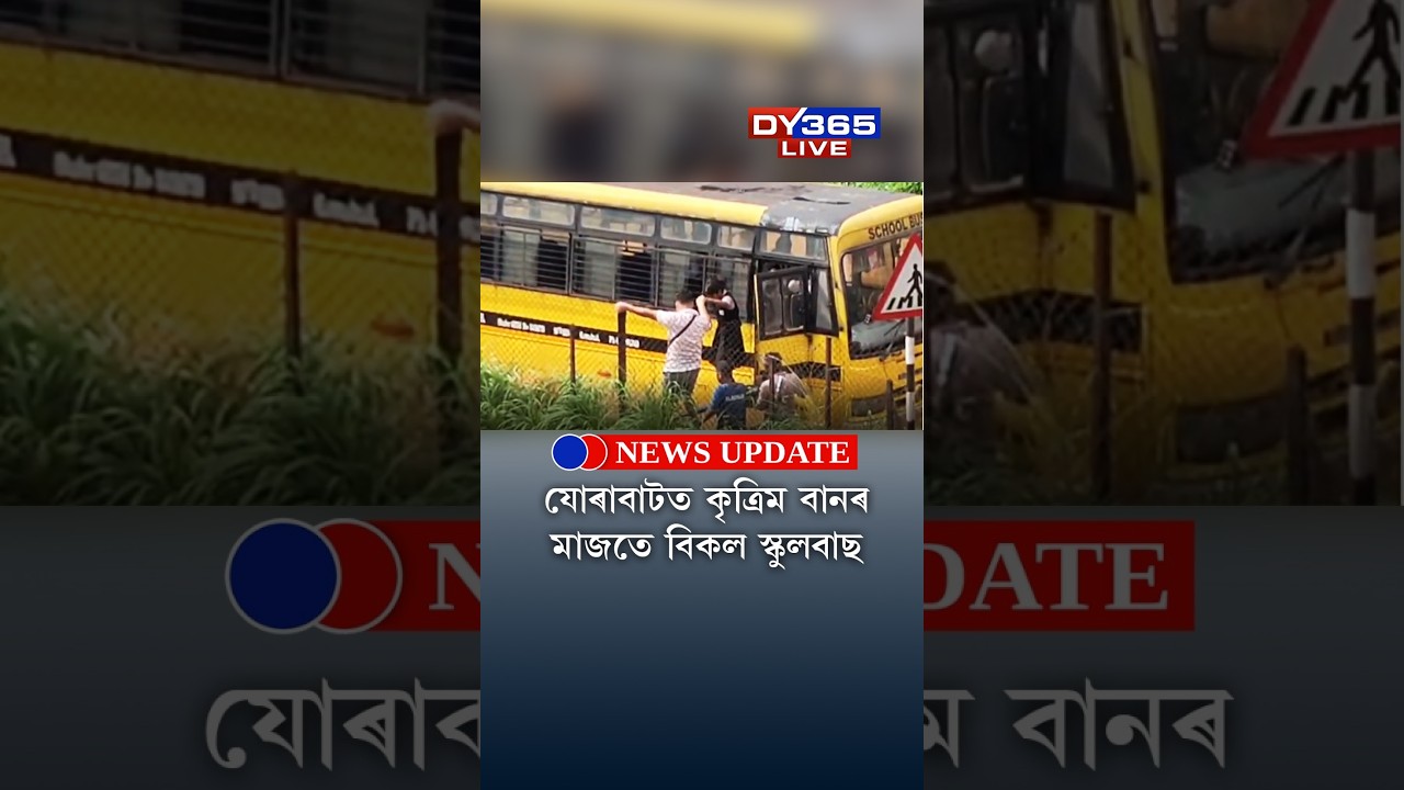 JORABATত কৃত্ৰিম বানৰ মাজতে বিকল SCHOOL BUS