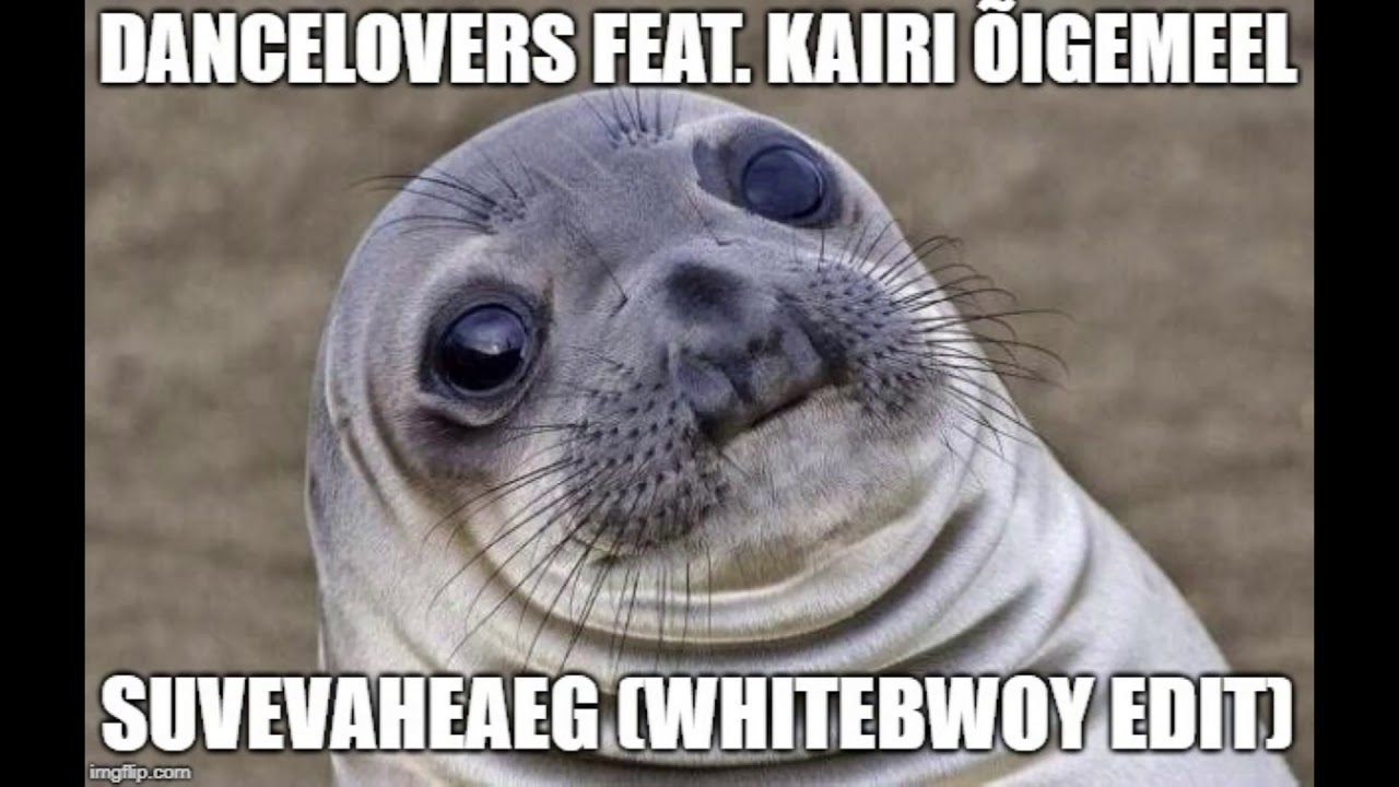 Dancelovers feat  Kairi &Otilde;igemeel - Suvevaheaeg(WhiteBwoy Edit)