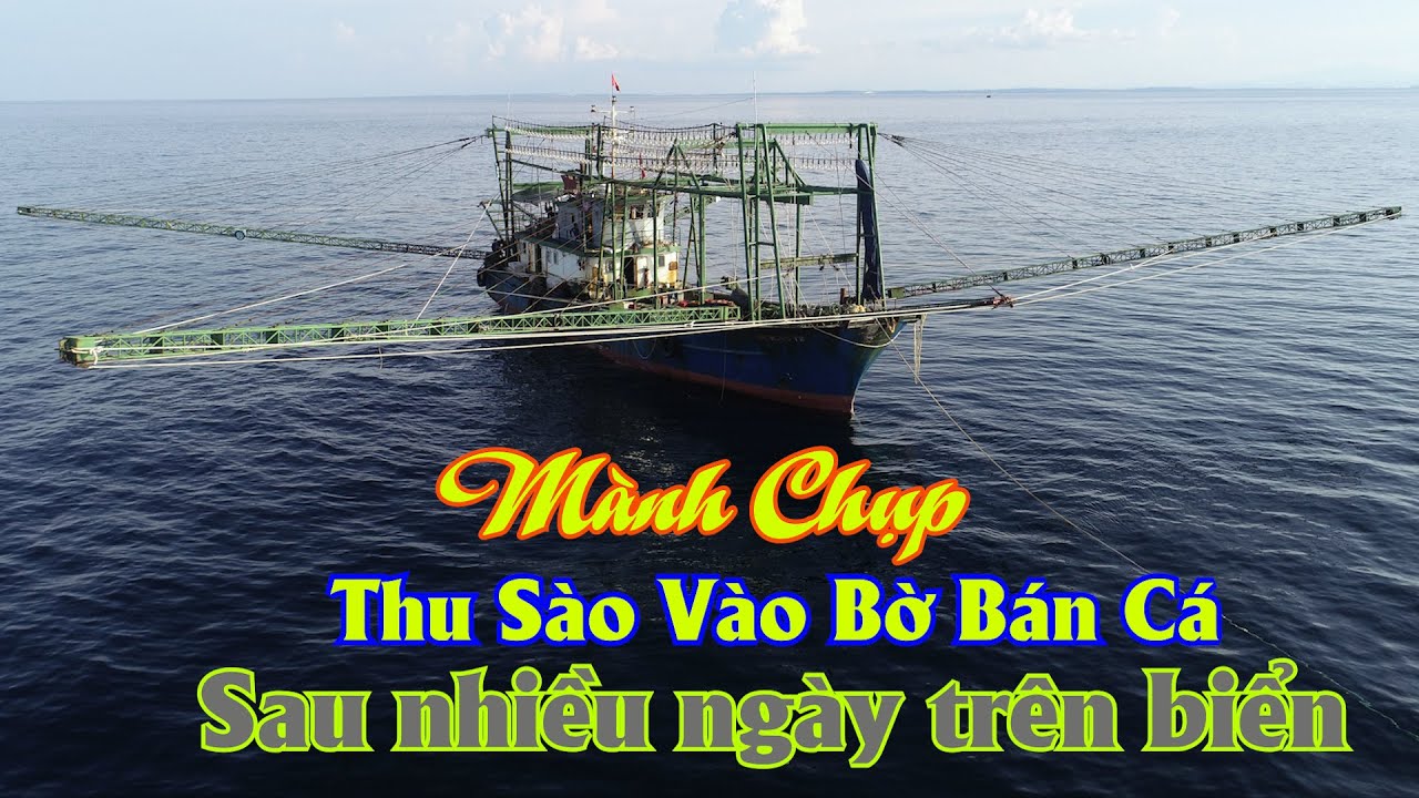 Mành chụp vỏ thép vào bờ bán cá sau 8 ngày lênh đênh trên biển - Dân Biển